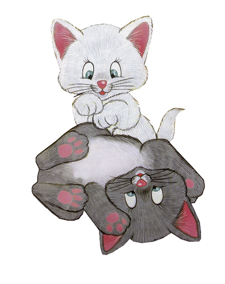 chat blanc full episode ita